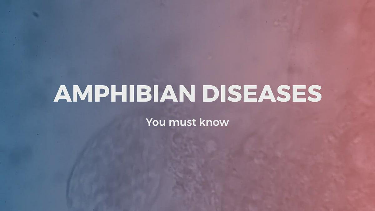 'Video thumbnail for Amphibian Diseases You must Know'