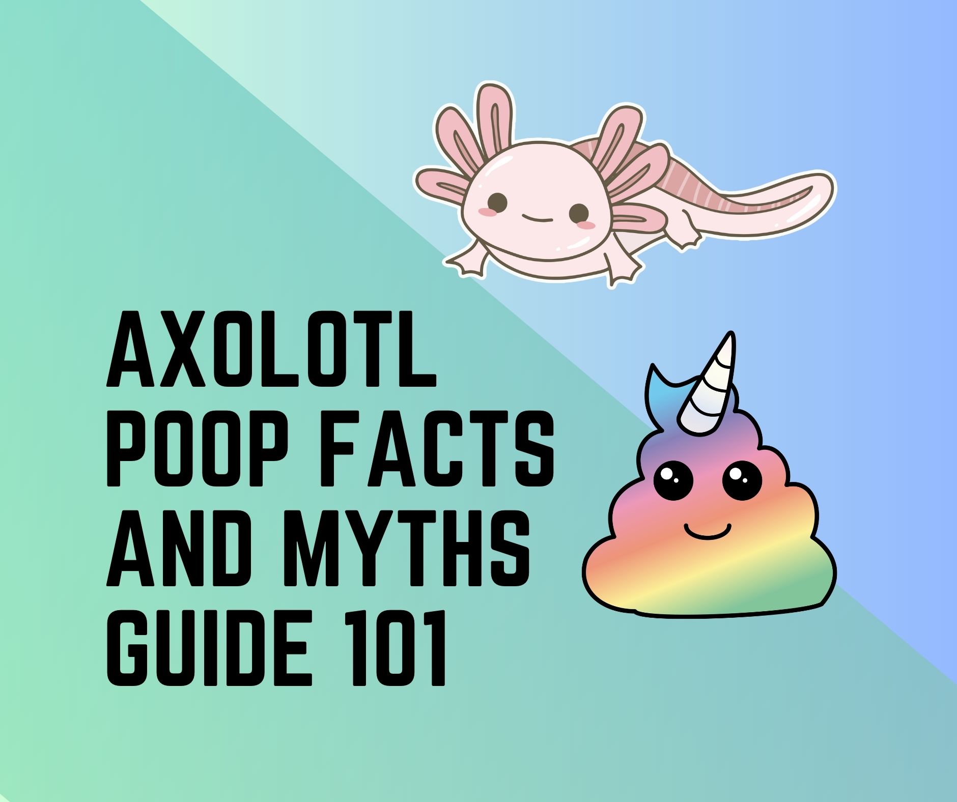 Axolotl Poop Facts - A Complete Guide 101 - Amphibian Life